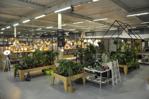 Uitgelichte foto tuin